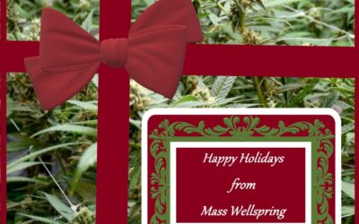 The holiday season is here! Although we might not have pine trees, we do have some other special trees that will put a smile on your face! Our seasonal staff picks this week are our 55mg Dark chocolate drops and our full spectrum 2.5mg Peppermint shields! After all, who doesn’t love a good choco-mint combo! What’s your favorite wintery flavors? #local #massachusetts #Medicinal #actonma #grassachusetts #holiday #holidayseason #christmastree #newenglandwinter