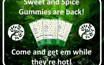 What’s hot today? How about our 4mg Sweet Spice gummies! These guys pack a little heat but just enough be enjoyable and tasty! Stop in to try some before they’re gone! #local #medicinal #massachusetts #actonma #grassachusetts #masswellspring #edibles #spicy #spiceoflife #spiceupyourlife #gummies