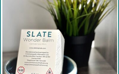 Everybody wonderful news! The iconic Wonder Balm is back!! This topical is the perfect thing to help with pain! Although it may not provide any psychoactive effects, its ratio of cannabanoids is the perfect thing to help alleviate symptoms for aliments such as inflammation, arthritis, tourette syndrome ticks and so much more! If you’re interested in this wonderful product, come in and ask us about our Wonder Balm! #local #Medicinal #massachusetts #actonma #terpenetueday #grassachusetts #masswellspring #medicinalplants #lotion #topical